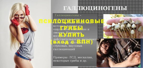 ешки Абинск